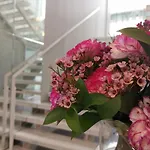 Hotel Boutique Caireles 2*