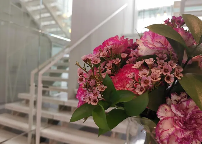 Отель Boutique Caireles 2*