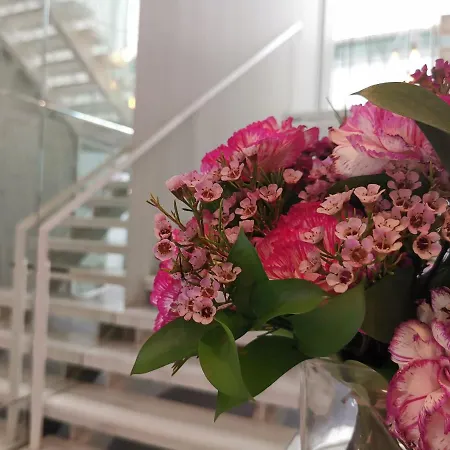 Hotel Boutique Caireles 2*